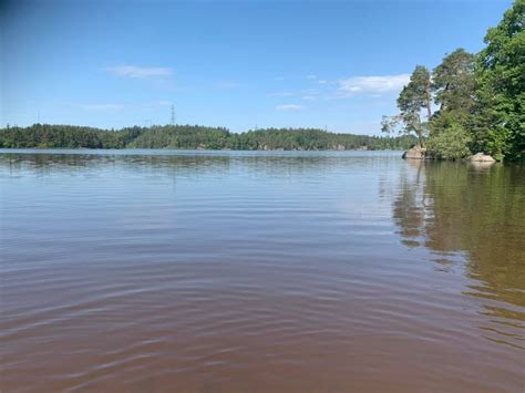 Dejting För Alla Oss Seriösa Som Bor I Svergie ️